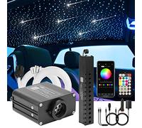 CHINLY Luz de fibra óptica coche, 16W Twinkle 500 piezas de (0,75 mm + 1,0 mm + 1,5 mm) * 3 m, luces de cielo estrellado de fibra óptica LED con luz de estrella fugaz