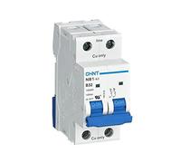 Chint NB1-63C2P63 - Disyuntor en miniatura (63 A, 2 polos, curva C, 6 kA)