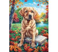 Chiot Labrador Dans la forêt d'automne Rompecabezas 1000 Piezas Cartón Resistente para Principiantes Mitos fantásticos Ocio Doméstico Reducir Estrés Decoración Hogar Regalo Ideal 1000 PCS
