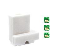 Chip y Esponja for Tanque de Tinta de Mantenimiento SC23MB S13S210125 for SureColor F170 SC-F170(Spong W 3chip)
