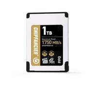 CHIPFANCIER Tarjeta de memoria CFexpress 4.0 tipo A de 256 GB de hasta 1750 MB/s de velocidad de lectura y 1750 MB/s de velocidad de escritura tipo A para grabación de video RAW 4K/8K, compatible con