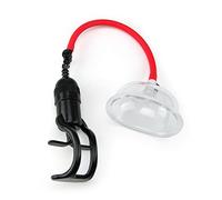 Chisa Bomba Para Vagina Songs Of Pleasure - 200 gr