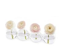 Chive De warid Hudson de Cristal 5 Big Caterpillar jarrón, Transparente