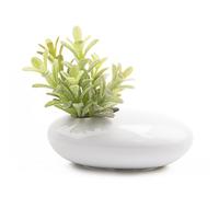 Chive - Jarrón de flores y terrario, de cerámica, Gris y Blanco