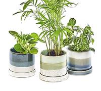 Chive Macetas de cerámica 'Minute' - Bonitas y Hermosas macetas para Flores y Plantas de Interior y Exterior - Juego de 3 - Verde y Azul