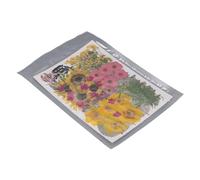 Chiyyak 100 Piezas de Flores Secas Prensadas, Flores Secas Naturales de Diseño Diverso para Manualidades, con 2 Pegatinas para álbumes de Recortes y bisutería.