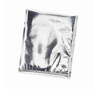 Chiyyak Bolsas Térmicas para Almacenamiento de Alimentos, Resistentes Al Calor, a Prueba de Humedad, 5 uds., Bolsas Térmicas con Aislamiento de Papel de Aluminio, Plateadas, 13,8x15,7 Pulgadas