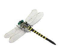 Chiyyak Pequeña Figura de Libélula, Modelo Realista de 12 Cm con Detalles Finos, Enseñar y Decorar, Segura para Que Jueguen los Niños, Viene con Pasador de Cordón