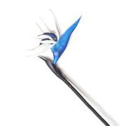 Chiyyak Realista Decorativo Falso Paraíso Flor Sofisticada Sofisticación Toque de Modernidad 78cm (Azul)