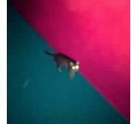 (chk-chk-chk) Wallop (Vinyl) 12" Album Coloured Vinyl (Limited Edition)