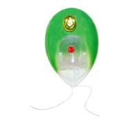 Chlamydomonas - Herramienta de enseñanza de biología modelo de una sola célula, modelo anatómico, ayuda de enseñanza