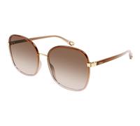 Chloé Mujer CH0031S 007 Gafas de sol Bio-inyección Marrón Marrón Cuadrada Sombreado