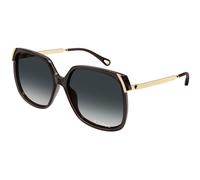 Chloé Mujer CH0286S 001 Gafas de sol Acetato Gris Gris Cuadrada