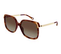 Chloé Mujer CH0286S 002 Gafas de sol Acetato la Habana Marrón Cuadrada