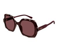 Chloé Mujer Chloé CH0226S 002 Gafas de sol Acetato Violeta Violeta Cuadrada