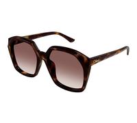Chloé Mujer Chloé CH0280S 006 Gafas de sol Acetato la Habana Rojo Cuadrada