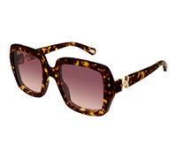Chloé Mujer Chloé CH0301S 002 Gafas de sol Acetato la Habana Rojo Cuadrada