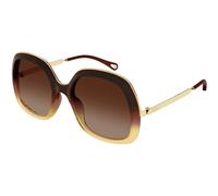 Chloé Mujer Chloé CH0327S 006 Gafas de sol Acetato Marrón Marrón Cuadrada