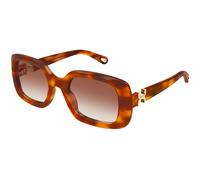 Chloé Mujer Chloé CH0333S 003 Gafas de sol Acetato la Habana Marrón Cuadrada
