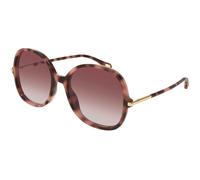 Chloé Mujer Chloé CH0383S 004 Gafas de sol Acetato la Habana Rojo Redonda