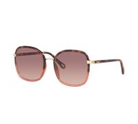 Chloé Mujer Sunglass CH0031S - Color del Marco: Carey, Color de la Lente: Rojo degradado