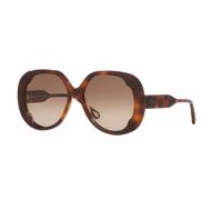 Chloé Mujer Sunglass CH0195S - Color del Marco: Carey, Color de la Lente: Marrón