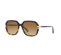 Chloé Mujer Sunglass CH0204S - Color del Marco: Negro, Color de la Lente: Marrón