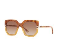 Chloé Mujer Sunglass CH0240S - Color del Marco: Marrón, Color de la Lente: Marrón