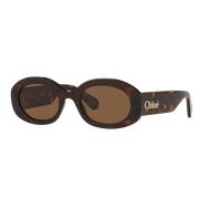 Chloé Mujer Sunglass CH0258S - Color del Marco: Carey, Color de la Lente: Marrón