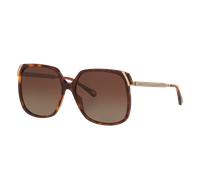 Chloé Mujer Sunglass CH0286S - Color del Marco: Carey, Color de la Lente: Marrón Degradado