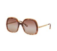 Chloé Mujer Sunglass CH0327S - Color del Marco: Carey, Color de la Lente: Rojo burdeos degradado