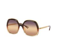 Chloé Mujer Sunglass CH0327S - Color del Marco: Marrón, Color de la Lente: Rosa Degradado