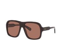 Chloé Mujer Sunglass CH0331S - Color del Marco: Carey, Color de la Lente: Marrón