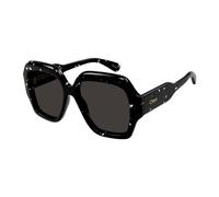 CHLOE SUNGLASSES Gafas de sol para mujer Gafas De Sol Ch0154S