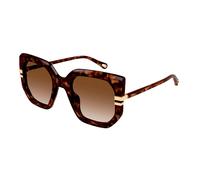 CHLOE SUNGLASSES Gafas de sol para mujer Gafas De Sol Ch0240S