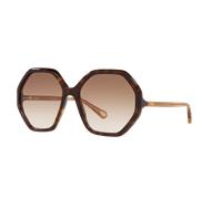 Chloé Unisex Sunglass CH0008S - Color del Marco: Negro, Color de la Lente: Marrón Degradado