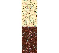 Chocolate calcos cosmos transfer envase 25 unidades 390x280mm