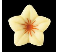 Chocolate jazmín naranja 30.5x15mm envase 76 unid.