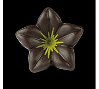 Chocolate jazmín oro 30.5x15mm envase 76 unid.