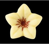 Chocolate jazmín rojo 30.5x15mm envase 76 unid.