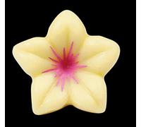 Chocolate jazmín rosa 30.5x15mm envase 76 unid.