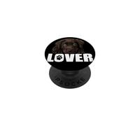 Chocolate Lab Dog Amante de Cachorros Brown Dog Love PopSockets PopGrip Adhesivo