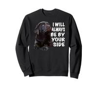 Chocolate Lab Dog Brown Lab Labrador Retriever Cachorro Sudadera