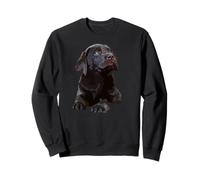Chocolate Lab Dog Brown Lab Labrador Retriever Cachorro Sudadera