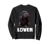Chocolate Lab Dog Brown Lab Labrador Retriever Cachorro Sudadera