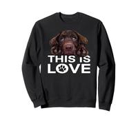 Chocolate Lab Dog Brown Lab Labrador Retriever Cachorro Sudadera