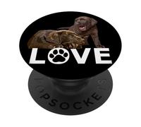 Chocolate Lab Dog Love Brown Labrador Retriever Amante PopSockets PopGrip Adhesivo