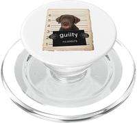 Chocolate Lab Labrador Dog mug Shot Bad Dog PopSockets PopGrip para MagSafe
