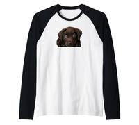 Chocolate Lab Perro Cachorro Marrón Labrador Retriever Lover Camiseta Manga Raglan