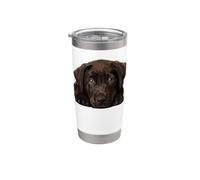Chocolate Lab Perro Cachorro Marrón Labrador Retriever Lover Vaso térmico de acero inoxidable de doble pared
